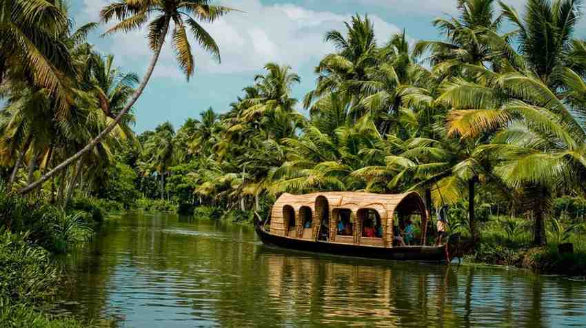 Lush green backwaters of Alleppey, Kerala
