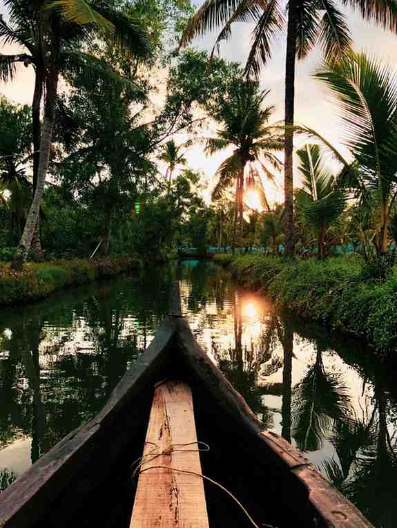 Romantic Kerala Honeymoon Package