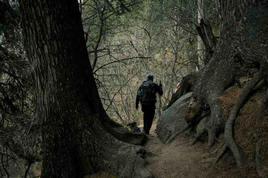 Kheer Ganga Trek in Kasol-Manikaran